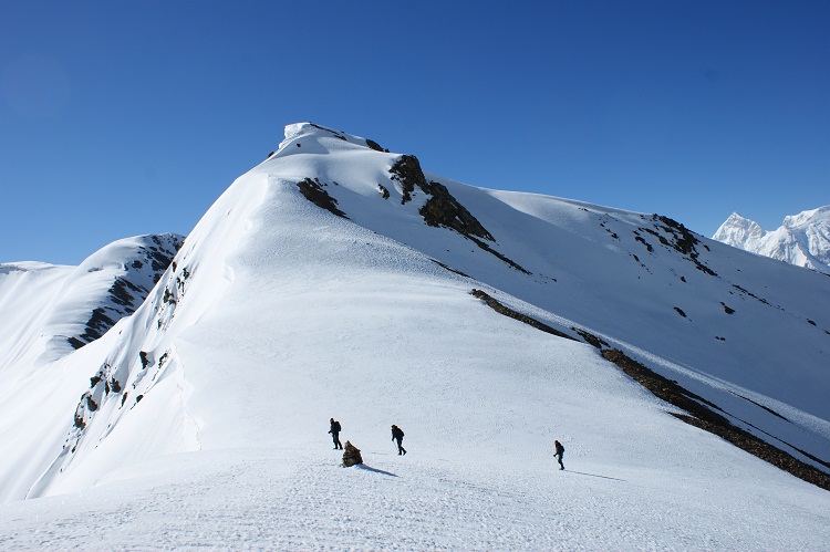 Yak Skiing This Extreme Snow Sport is for Brave Souls Only